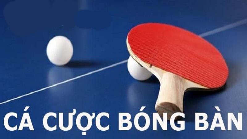 Cá cược Bóng Bàn