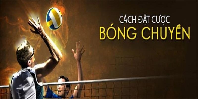 Cá cược về Bóng Chuyền