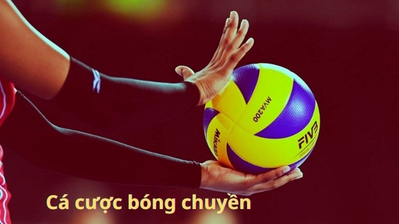 Cá cược Bóng Chuyền