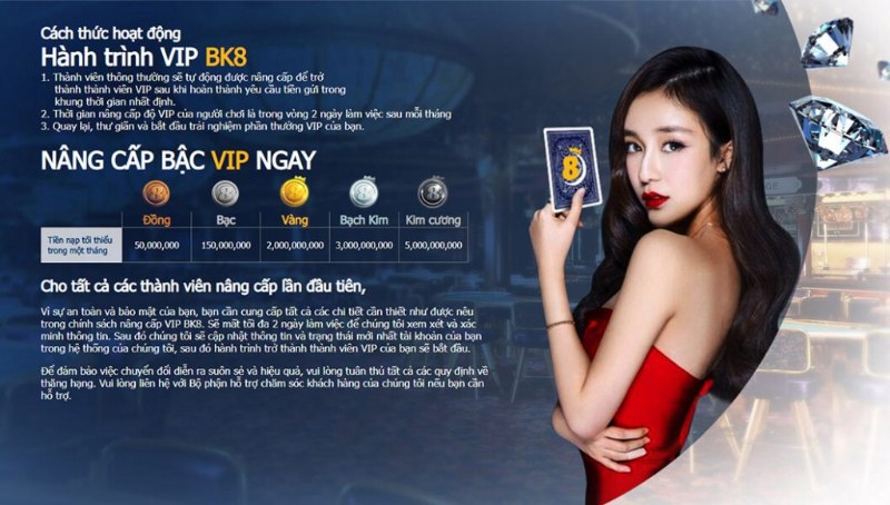 Khuyến mãi VIP BK8