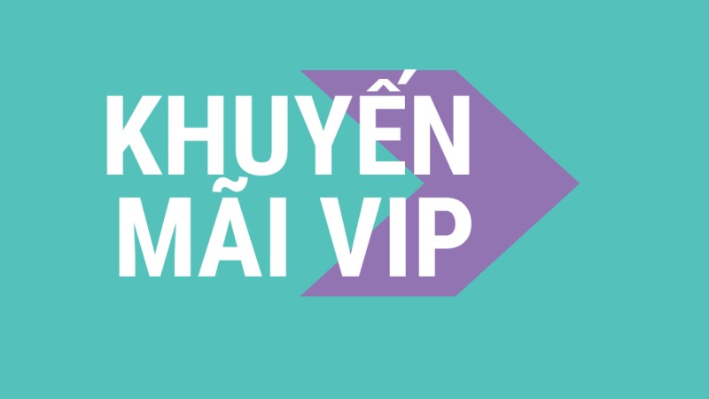 Khám phá chương trình khuyến mãi VIP