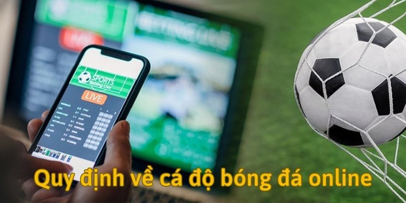 Các quy định về cá độ bóng đá online bạn nên biết