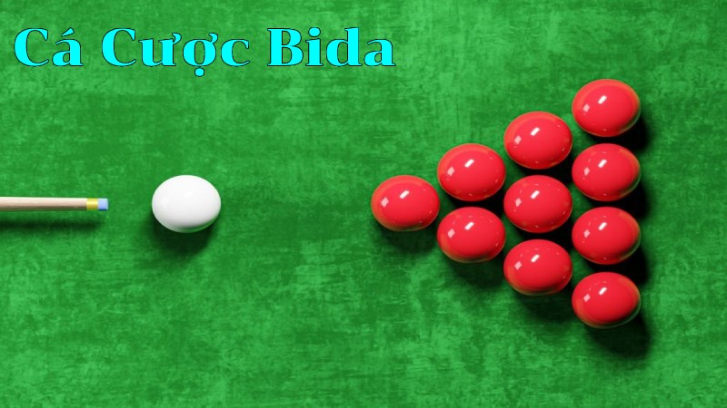 Cá cược Bida là sao? 