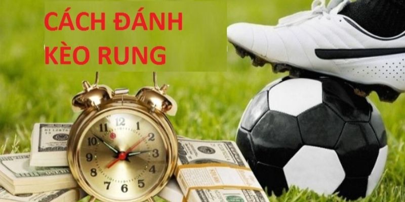 Cách nhận biết và đánh kèo rung hiệu quả