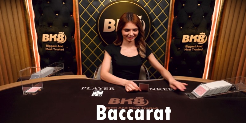 Quy trình đặt cược Baccarat BK8 chi tiết dành cho người mới